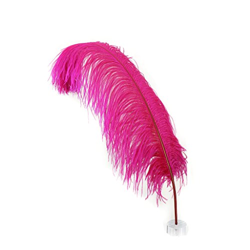 Straußenfedern – Prime Femina – 61–76,2 cm hoch – 25 Stück für Veranstaltungen, Hochzeitsdekoration, Heimdekoration, Kunsthandwerk – Schockierendes Pink Straußenfedern – Prime Femina – 61–76,2 cm hoch – 25 Stück für Veranstaltungen, Hochzeitsdekoration, Heimdekoration, Kunsthandwerk – Schockierendes Pink von ASKFNASDKMFN