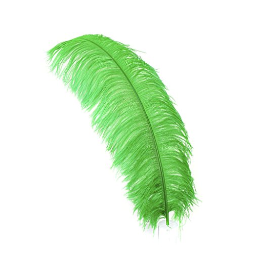 Straußenfedern – Prime Femina – 61–76 cm hoch – 25 Stück für St. Patrick's Day-Veranstaltungen, Hochzeitsdekoration, Heimdekoration, Kunsthandwerk, Cosplay und mehr, Kelly Green Straußenfedern – Prime Femina – 61–76 cm hoch – 25 Stück für St. Patrick's Day-Veranstaltungen, Hochzeitsdekoration, Heimdekoration, Kunsthandwerk, Cosplay und mehr, Kelly Green von ASKFNASDKMFN