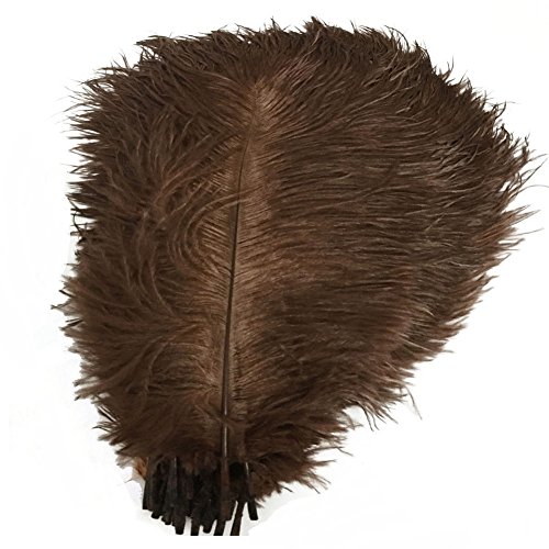 Straußenfedern für Heimwerker, Zuhause, Hochzeit, Party, Büro, 35 - 40 cm, Braun, 10 Stück Straußenfedern für Heimwerker, Zuhause, Hochzeit, Party, Büro, 35 - 40 cm, Braun, 10 Stück von ASKFNASDKMFN