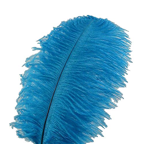 Straußenfedern für Heimwerker, Zuhause, Hochzeit, Party, Büro, 35 - 40 cm, Himmelblau, 10 Stück Straußenfedern für Heimwerker, Zuhause, Hochzeit, Party, Büro, 35 - 40 cm, Himmelblau, 10 Stück von ASKFNASDKMFN