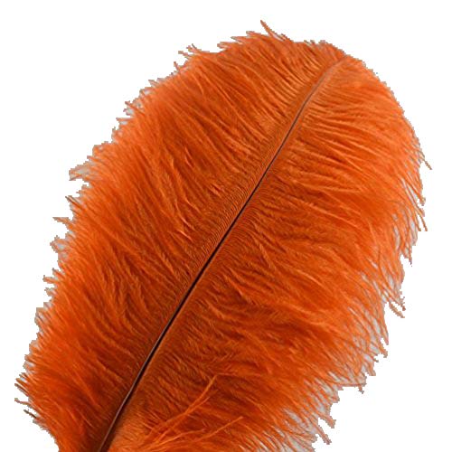 Straußenfedern für Heimwerker, Zuhause, Hochzeit, Party, Büro, Dekoration, 35-40 cm, Orange, 10 Stück Straußenfedern für Heimwerker, Zuhause, Hochzeit, Party, Büro, Dekoration, 35-40 cm, Orange, 10 Stück von ASKFNASDKMFN