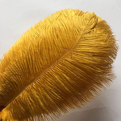 Straußenfedern für Hochzeiten, 30–35 cm, goldfarben, 10 Stück Straußenfedern für Hochzeiten, 30–35 cm, goldfarben, 10 Stück von ASKFNASDKMFN
