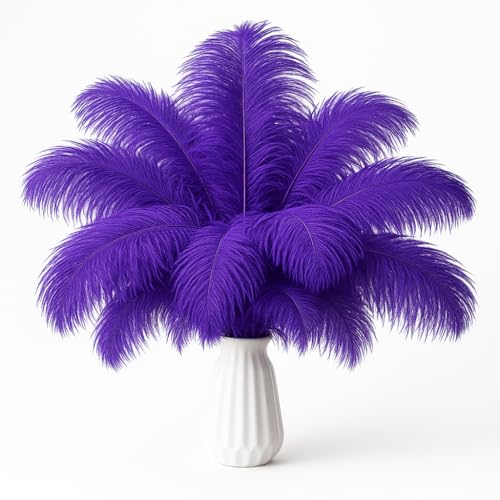 Straußenfedern für Hochzeiten, Basteln, Karneval, Geschenke, Partydekoration, Blumenarrangement, böhmische Heimdekoration, 20 Stück, 25,4 - 30,5 cm, Violett Straußenfedern für Hochzeiten, Basteln, Karneval, Geschenke, Partydekoration, Blumenarrangement, böhmische Heimdekoration, 20 Stück, 25,4 - 30,5 cm, Violett von ASKFNASDKMFN