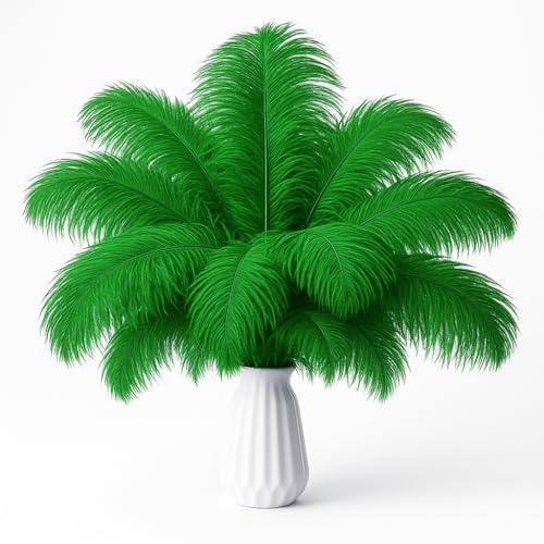 Straußenfedern für Hochzeiten, Basteln, Karneval, Geschenke, Partydekoration, Blumenarrangement, böhmische Heimdekoration, 30,5 - 35,6 cm, Grün, 20 Stück Straußenfedern für Hochzeiten, Basteln, Karneval, Geschenke, Partydekoration, Blumenarrangement, böhmische Heimdekoration, 30,5 - 35,6 cm, Grün, 20 Stück von ASKFNASDKMFN