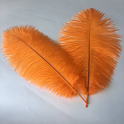 Straußenfedern für Hochzeiten, Tafelaufsätze, Heimdekoration, 20–25 cm, Orange, 10 Stück Straußenfedern für Hochzeiten, Tafelaufsätze, Heimdekoration, 20–25 cm, Orange, 10 Stück von ASKFNASDKMFN