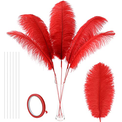 Straußenfedern für Vase, 10-teiliges Bastelset, 86,4 cm, extra große Straußenfedern, lang für hohe Vasen, Blumenarrangements, Themenpartys, Tafelaufsätze und Hochzeitsdekoration (rot) von ASKFNASDKMFN