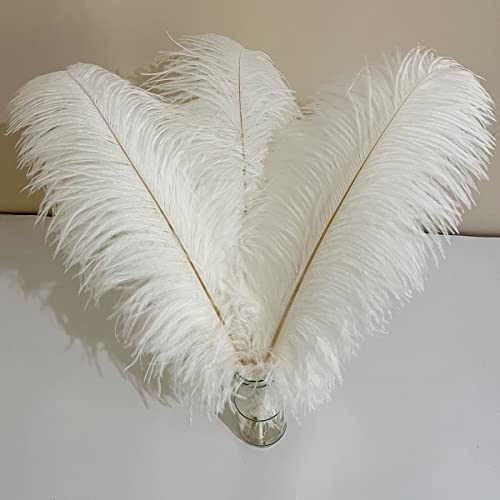 Weiße Straußenfedern, 50,8–61 cm, flauschige Federn für Bastelarbeiten, Vasen, Hochzeiten, Tafelaufsätze, Zuhause, Party, Dekoration, Weihnachtsdekoration, 10 Stück Weiße Straußenfedern, 50,8–61 cm, flauschige Federn für Bastelarbeiten, Vasen, Hochzeiten, Tafelaufsätze, Zuhause, Party, Dekoration, Weihnachtsdekoration, 10 Stück von ASKFNASDKMFN