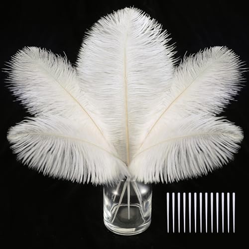 Weiße Straußenfedern, Set mit Straußenfedern, für Kindergarten, Traumfänger und Hüte, 30 Stück, 6–8 Stück (Off White) von ASKFNASDKMFN