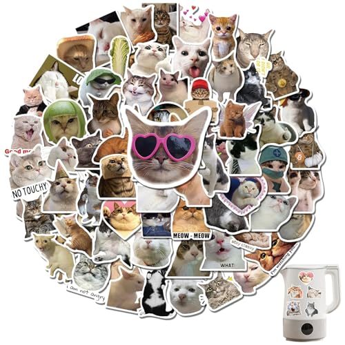 ASOMI 100 Stück süße Katzen-Meme-Aufkleber, lustige Kätzchen-Aufkleber für Tagebuch, Laptop, Scrapbook, Wasserflaschen, wasserfeste Vinyl-Aufkleber für Teenager, Erwachsene ASOMI 100 Stück süße Katzen-Meme-Aufkleber, lustige Kätzchen-Aufkleber für Tagebuch, Laptop, Scrapbook, Wasserflaschen, wasserfeste Vinyl-Aufkleber für Teenager, Erwachsene von ASOMI