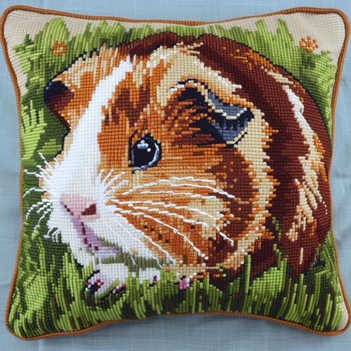 ASONGLINGO Latch Cushion Set, Knotting and Weaving Set, 43x43cm, Handmade Cushion Craft Kits, Knotting Craft Kits for Beginners(Tierhamster) von ASONGLINGO