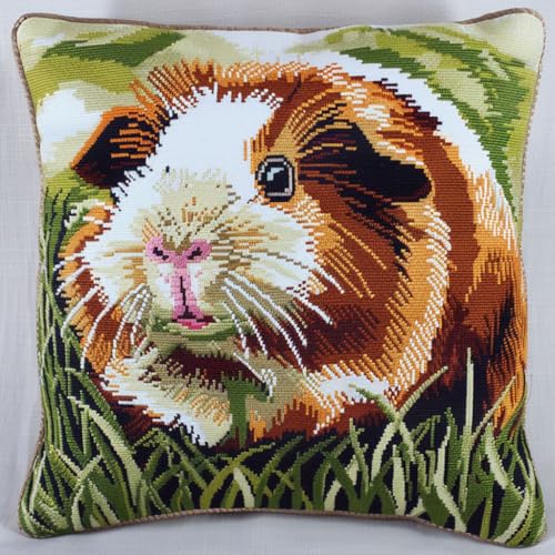 ASONGLINGO Latch Cushion Set Latch Thread Kits Knotting Cushion Craft Set Knüpfkissen Diy Knüpfset Knüpfhaken Knüpfen DIY Dekokissen 43x43cm(Hamster auf dem Gras) von ASONGLINGO