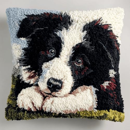ASONGLINGO Latch Hook Cushion Kit, Tier Hund Latch Cushion Set for Beginners Adults, Diy Knüpfen Set Kissen Knüpfen Handarbeit 43x43cm ASONGLINGO Latch Hook Cushion Kit, Tier Hund Latch Cushion Set for Beginners Adults, Diy Knüpfen Set Kissen Knüpfen Handarbeit 43x43cm von ASONGLINGO