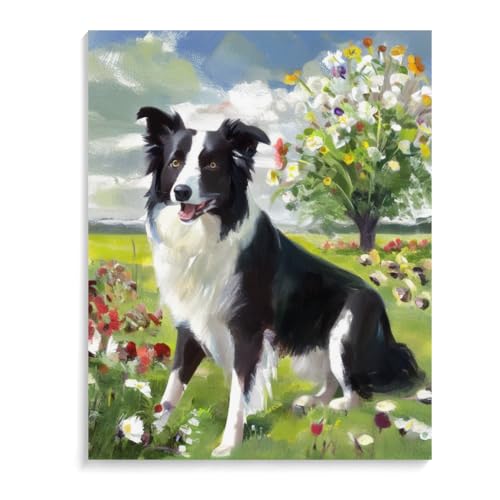 DIY 5d Diamant malerei Border-Collie-Hund 5D Diamond Painting Ornamente Diamant Malerei Kits DIY Set Handgemachte Dekorative Ornamente 20 x 24 Zoll (50 x 60 cm) Rahmenlos von ASSKQMY