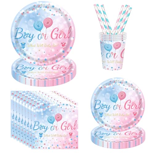ASSUGO 60 Gender Reveal Party deko partygeschirr Set, Boy or Girl Partyzubehör, Enthält Teller,Baby servietten,Becher, Strohhalme,Geeignet für babyparty deko mädchen Jungen, Gender Reveal Partys ASSUGO 60 Gender Reveal Party deko partygeschirr Set, Boy or Girl Partyzubehör, Enthält Teller,Baby servietten,Becher, Strohhalme,Geeignet für babyparty deko mädchen Jungen, Gender Reveal Partys von ASSUGO