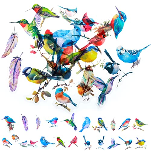 ASTER 80 Stück Mini Vogel Stickers Feder Fliegenvogel Aufkleber 3-5cm Bunte Transparent PET Scrapbooking Aufkleber, Bastelaufkleber Sticker für Blumen Laptop Skate Tassen Gepäck von ASTER