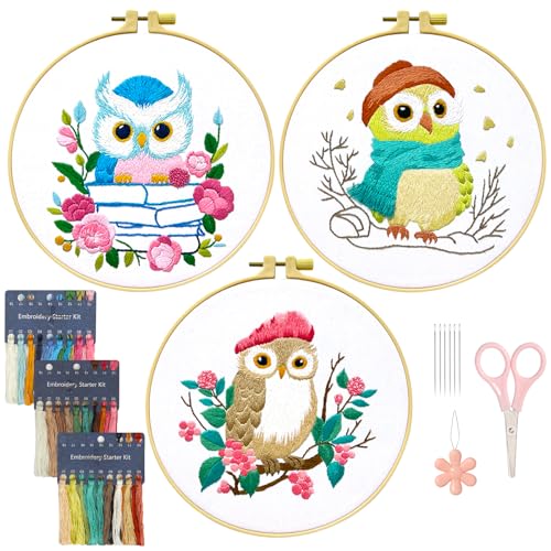 ASTNIC Stickset für Anfänger, 3 Sets Eulen-Stickmuster mit Stanznadel-Set, Kunst und Handwerk, Kreuzstich-Sets für Anfänger, Erwachsene, Frauen, Mädchen (Eule mit Hut) ASTNIC Stickset für Anfänger, 3 Sets Eulen-Stickmuster mit Stanznadel-Set, Kunst und Handwerk, Kreuzstich-Sets für Anfänger, Erwachsene, Frauen, Mädchen (Eule mit Hut) von ASTNIC