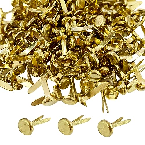 220 Stück Notenmaschine Pin Sheet Pins, Split-Pins, metallische Papierverschlüsse, 8 * 17 mm Mini Pins, goldene Rundkopfnägel, geeignet für Scrapbooking, Handdruckpapier 220 Stück Notenmaschine Pin Sheet Pins, Split-Pins, metallische Papierverschlüsse, 8 * 17 mm Mini Pins, goldene Rundkopfnägel, geeignet für Scrapbooking, Handdruckpapier von ATBUSS