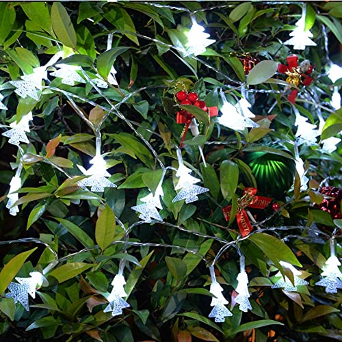 AUAUY Weihnachtsbaum-Lichterketten, 6M/19.6 ft 40 LED Batteriebetriebene Lichterketten, 2 Modi Wasserdichte für Innen-Außen-Hochzeitsfeier Neujahr Garten Weihnachtsdekoration (Kaltweiß) von AUAUY