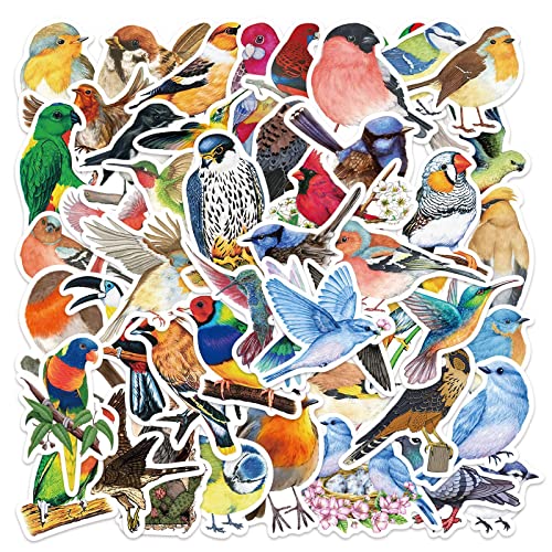 50 Stück Aquarell Vogel Aufkleber Pack Watercolor Bird Sticker Set Wasserdichte Vinyl Sticker für Laptop Kinder Autos Motorrad Fahrrad Skateboard Gepäck Koffer Computer Aufkleber Graffiti Decal 50 Stück Aquarell Vogel Aufkleber Pack Watercolor Bird Sticker Set Wasserdichte Vinyl Sticker für Laptop Kinder Autos Motorrad Fahrrad Skateboard Gepäck Koffer Computer Aufkleber Graffiti Decal von AUCEKO