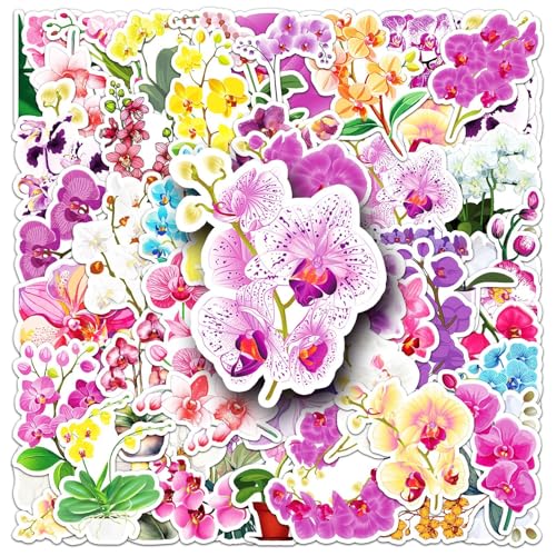 50 Stück Der Schmetterling Aufkleber Pack Blumen Flower Sticker Set wasserdichte Vinyl Sticker für Laptop Kinder Autos Motorrad Fahrrad Skateboard Gepäck Koffer Computer Aufkleber Graffiti Decal 50 Stück Der Schmetterling Aufkleber Pack Blumen Flower Sticker Set wasserdichte Vinyl Sticker für Laptop Kinder Autos Motorrad Fahrrad Skateboard Gepäck Koffer Computer Aufkleber Graffiti Decal von AUCEKO