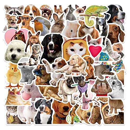 AUCEKO 50 Stück Lustige Tiere Aufkleber Pack Funny Animals Sticker Set wasserdichte Vinyl Sticker für Laptop Kinder Autos Motorrad Fahrrad Skateboard Gepäck Koffer Computer Aufkleber Graffiti Decal AUCEKO 50 Stück Lustige Tiere Aufkleber Pack Funny Animals Sticker Set wasserdichte Vinyl Sticker für Laptop Kinder Autos Motorrad Fahrrad Skateboard Gepäck Koffer Computer Aufkleber Graffiti Decal von AUCEKO