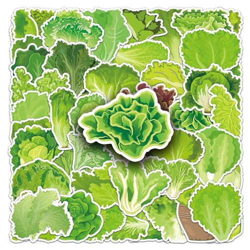 50 Stück Salat Aufkleber Pack Lettuce Sticker Set wasserdichte Vinyl Sticker für Laptop Kinder Autos Motorrad Fahrrad Skateboard Gepäck Koffer Computer Aufkleber Graffiti Decal 50 Stück Salat Aufkleber Pack Lettuce Sticker Set wasserdichte Vinyl Sticker für Laptop Kinder Autos Motorrad Fahrrad Skateboard Gepäck Koffer Computer Aufkleber Graffiti Decal von AUCEKO