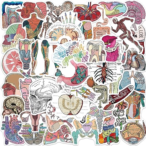 AUCEKO 50 Stück Anatomie der Organe Aufkleber Pack Organs Sticker Set wasserdichte Vinyl Sticker für Laptop Kinder Autos Motorrad Fahrrad Skateboard Gepäck Koffer Computer Aufkleber Graffiti Decal AUCEKO 50 Stück Anatomie der Organe Aufkleber Pack Organs Sticker Set wasserdichte Vinyl Sticker für Laptop Kinder Autos Motorrad Fahrrad Skateboard Gepäck Koffer Computer Aufkleber Graffiti Decal von AUCEKO