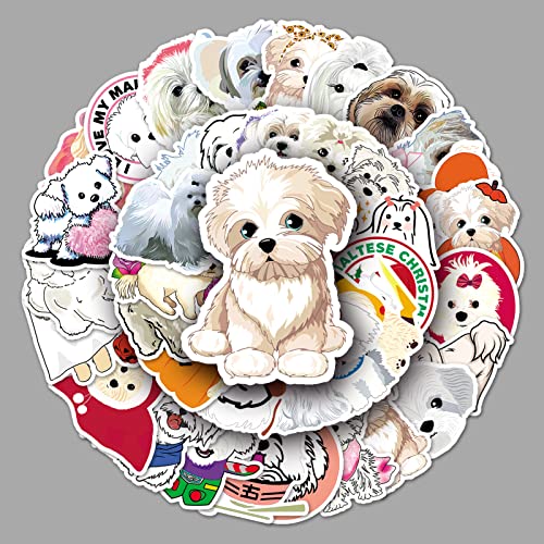 AUCEKO 50 Stück Malteser Hund Aufkleber Pack Maltese Dog Sticker Set wasserdichte Vinyl Sticker für Laptop Kinder Autos Motorrad Fahrrad Skateboard Gepäck Koffer Computer Aufkleber Graffiti Decal AUCEKO 50 Stück Malteser Hund Aufkleber Pack Maltese Dog Sticker Set wasserdichte Vinyl Sticker für Laptop Kinder Autos Motorrad Fahrrad Skateboard Gepäck Koffer Computer Aufkleber Graffiti Decal von AUCEKO