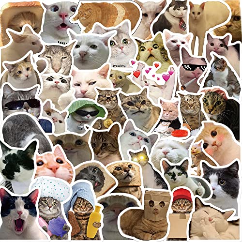 AUCEKO 50 Stück Meme Cat Aufkleber Pack Meme Katze Sticker Set wasserdichte Vinyl Sticker für Laptop Kinder Autos Motorrad Fahrrad Skateboard Gepäck Koffer Computer Aufkleber Graffiti Decal AUCEKO 50 Stück Meme Cat Aufkleber Pack Meme Katze Sticker Set wasserdichte Vinyl Sticker für Laptop Kinder Autos Motorrad Fahrrad Skateboard Gepäck Koffer Computer Aufkleber Graffiti Decal von AUCEKO