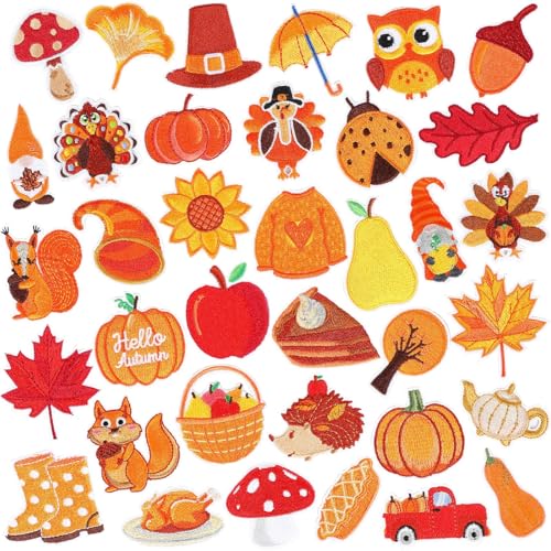 36 Stück Aufnäher zum Aufbügeln für Herbst und Herbst, Erntedankfest, bestickt, zum Aufnähen, Reparaturflicken, Herbstblatt, Kürbis, Truthahn, Ahornblätter, Zwerg, Eichel, DIY Handwerk für Kleidung, 36 Stück Aufnäher zum Aufbügeln für Herbst und Herbst, Erntedankfest, bestickt, zum Aufnähen, Reparaturflicken, Herbstblatt, Kürbis, Truthahn, Ahornblätter, Zwerg, Eichel, DIY Handwerk für Kleidung, von AUGSUN
