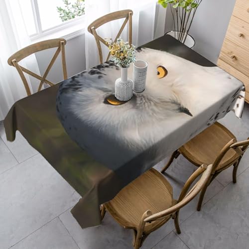 AUGUSTRUSH Rechteckige Tischdecke, 140 x 90 cm, Schneeeule Augen, Tischdecken, weich, waschbar, langlebig, Tischdecke für Essen, Party, knitterfreie Tischdecke für Reisen, Hochzeit, Café, Picknick AUGUSTRUSH Rechteckige Tischdecke, 140 x 90 cm, Schneeeule Augen, Tischdecken, weich, waschbar, langlebig, Tischdecke für Essen, Party, knitterfreie Tischdecke für Reisen, Hochzeit, Café, Picknick von AUGUSTRUSH