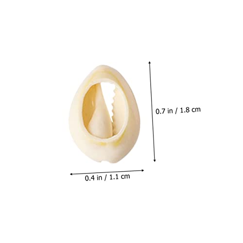 AUTSUPPL 150 Stück Natürliche DIY Muschelperlen Flach ohne Vielseitige Bastelperlen für Schmuckanhänger Armbänder und Heimdeko Meeresschmuck Zubehör AUTSUPPL 150 Stück Natürliche DIY Muschelperlen Flach ohne Vielseitige Bastelperlen für Schmuckanhänger Armbänder und Heimdeko Meeresschmuck Zubehör von AUTSUPPL