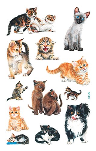 AVERY Zweckform 53574 Kinder Sticker Katzen 36 Aufkleber von AVERY Zweckform