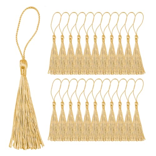 100 Stück Quasten Mini Quasten Bunte Quasten mit Schlaufe Seidig Quasten Anhänger Weiche Quasten als Lesezeichen handgefertigte Troddeln Quasten für DIY Schmuck Schlüsselanhänger 100 Stück Quasten Mini Quasten Bunte Quasten mit Schlaufe Seidig Quasten Anhänger Weiche Quasten als Lesezeichen handgefertigte Troddeln Quasten für DIY Schmuck Schlüsselanhänger von AWOXIHJ