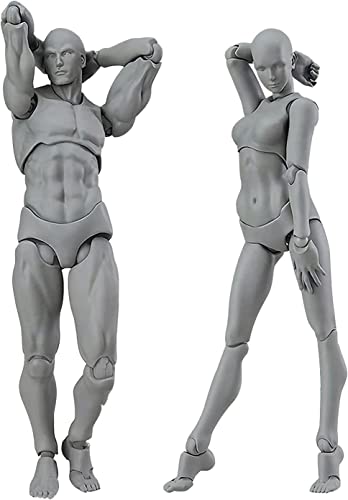 AXITWXIT Body Kun Puppe, Künstlerpuppe, Blockkopf, Gelenkzeichnung, Mannequin für Künstler, Zeichnen, Modellfiguren für männliche und weibliche Figur, Set (grau) von AXITWXIT