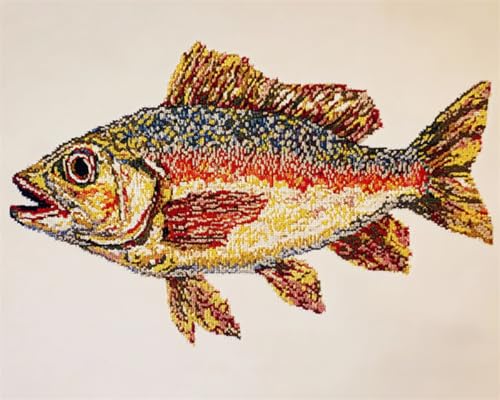 AYAOYANGGO 11CT Stickerei Set Fische Tiere Vorgedruckte，Gestempelte Kreuzstich-Sets Für Erwachsene Und Anfänger，Zum Selbermachen，Handarbeitskunst 40x50cm von AYAOYANGGO