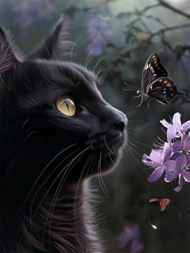AYAOYANGGO 9CT Diy Perlenstickerei-Set Schwarzes Katzentier Und Schmetterling Perlenstickerei-Set Für Erwachsene,Nadelspitze,Wandteppich Diy Seed Bead Embroidery Kits 50x60cm von AYAOYANGGO