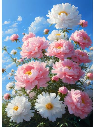 AYAOYANGGO Diy Französisches Stickset Mit Perlen Fantasie Rosa Pfingstrosenblüten Nadelspitze-Bastelset,Diy-Perlenmalerei,3D-Wandteppich,Perlen-Kreuzstich-Set 9CT 60x80cm AYAOYANGGO Diy Französisches Stickset Mit Perlen Fantasie Rosa Pfingstrosenblüten Nadelspitze-Bastelset,Diy-Perlenmalerei,3D-Wandteppich,Perlen-Kreuzstich-Set 9CT 60x80cm von AYAOYANGGO