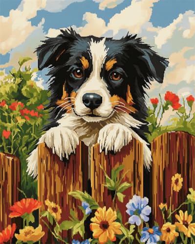 AYAOYANGGO Hund Tier Knüpfteppich Border Collie Klettert Auf Zaun Teppich-Set Für Erwachsene Und Kinder, Knüpfsets Für Teppiche, Stickarbeiten, Handarbeiten, Basteln 33x45in AYAOYANGGO Hund Tier Knüpfteppich Border Collie Klettert Auf Zaun Teppich-Set Für Erwachsene Und Kinder, Knüpfsets Für Teppiche, Stickarbeiten, Handarbeiten, Basteln 33x45in von AYAOYANGGO