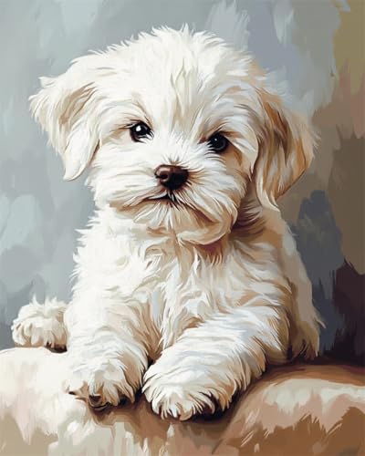 AYAOYANGGO Hund Tier Knüpfteppichkarikatur,West Highland White Terrier Diy-Teppich-Set Für Erwachsene Und Kinder,Kreuzstich-Sets,Teppiche-Handarbeit Für Anfänger,Heimdekoration 33x45in AYAOYANGGO Hund Tier Knüpfteppichkarikatur,West Highland White Terrier Diy-Teppich-Set Für Erwachsene Und Kinder,Kreuzstich-Sets,Teppiche-Handarbeit Für Anfänger,Heimdekoration 33x45in von AYAOYANGGO