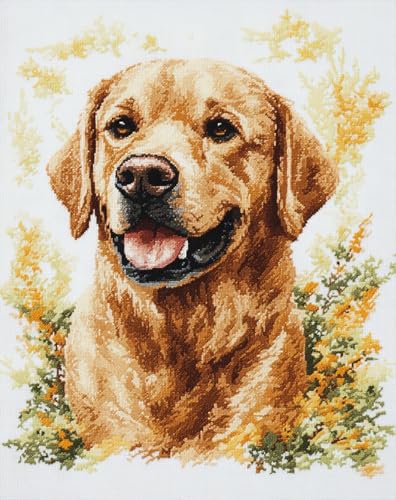 AYAOYANGGO Hund Tier Latch Hook Rug Kit Labrador Retriever-Porträt Knüpfteppich-Sets Für Erwachsene, Teppich-Stickerei-Set, Diy-Handarbeit, Sofakissen 33x45in AYAOYANGGO Hund Tier Latch Hook Rug Kit Labrador Retriever-Porträt Knüpfteppich-Sets Für Erwachsene, Teppich-Stickerei-Set, Diy-Handarbeit, Sofakissen 33x45in von AYAOYANGGO