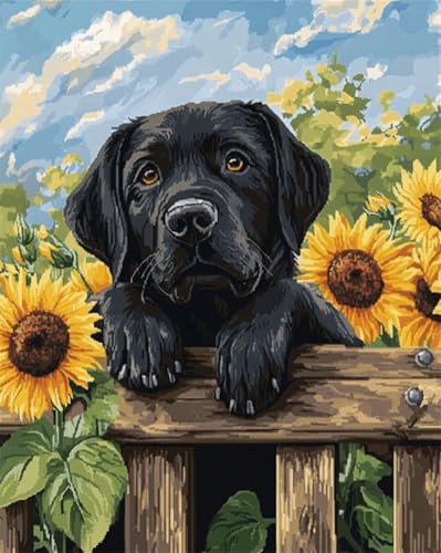 AYAOYANGGO Hund Tier Latch Hook Rug Kit Labrador Retriever Und Sonnenblumen Knüpfteppich-Sets Für Erwachsene, Teppich-Stickerei-Set, Diy-Handarbeit, Sofakissen 23x35in AYAOYANGGO Hund Tier Latch Hook Rug Kit Labrador Retriever Und Sonnenblumen Knüpfteppich-Sets Für Erwachsene, Teppich-Stickerei-Set, Diy-Handarbeit, Sofakissen 23x35in von AYAOYANGGO