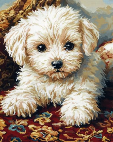 AYAOYANGGO Hund Tier Teppich Knüpfen Setkarikatur，West Highland White Terrier Knüpfteppich-Sets Für Erwachsene Und Kinder，Diy-Handarbeit，Häkelteppich-Set Mit Farbig Vorgedrucktem Muster 35x46in von AYAOYANGGO
