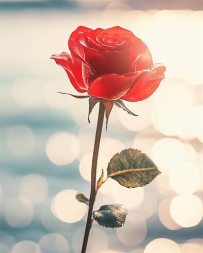 AYAOYANGGO Kreuzstich Set Fantasie Rote Rosen Diy-Kreuzstich-Sets Für Erwachsene Mit Nadeln,Scheren-Einfädler,Vordruck Für Die Wanddekoration Zu Hause 11CT 40x50cm AYAOYANGGO Kreuzstich Set Fantasie Rote Rosen Diy-Kreuzstich-Sets Für Erwachsene Mit Nadeln,Scheren-Einfädler,Vordruck Für Die Wanddekoration Zu Hause 11CT 40x50cm von AYAOYANGGO