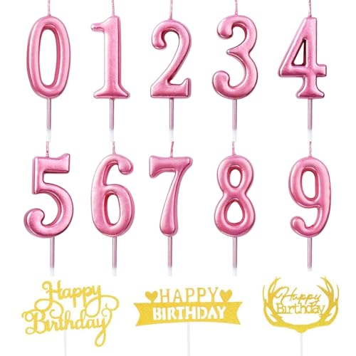 Geburtstag Zahl Kerzen,10 Stück Kuchenkerzen,Nummer 0 bis 9,Cake Topper Dekoration für Geburtstagsfeier (Rose Rot+Cake Topper) von AYEUPZ
