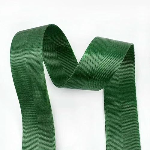 10 m, 20–50 mm, Nylon-Spitzenband, Gurtbänder, dekorative Bänder zum Nähen von Taschengurten, Schleifen, Bändern, Bastelmaterialien – Grasgrün – 38 mm 10 m, 20–50 mm, Nylon-Spitzenband, Gurtbänder, dekorative Bänder zum Nähen von Taschengurten, Schleifen, Bändern, Bastelmaterialien – Grasgrün – 38 mm von AYHTUD
