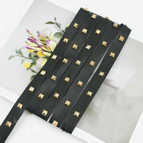 2/4/10 m, 10–20 mm, schwarze Nieten, PU-Lederband, Seile, Taschengurt, Armband, Kordel, Gürtel, dekoratives DIY-Nähzubehör, B-Gold, 2 cm, 2 Meter 2/4/10 m, 10–20 mm, schwarze Nieten, PU-Lederband, Seile, Taschengurt, Armband, Kordel, Gürtel, dekoratives DIY-Nähzubehör, B-Gold, 2 cm, 2 Meter von AYHTUD