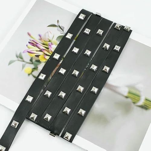 2/4/10 m, 10–20 mm, schwarze Nieten, PU-Lederband, Seile, Taschengurt, Armband, Kordel, Gürtel, dekoratives DIY-Nähzubehör, B-Silber, 2 cm, 4,0 Meter 2/4/10 m, 10–20 mm, schwarze Nieten, PU-Lederband, Seile, Taschengurt, Armband, Kordel, Gürtel, dekoratives DIY-Nähzubehör, B-Silber, 2 cm, 4,0 Meter von AYHTUD