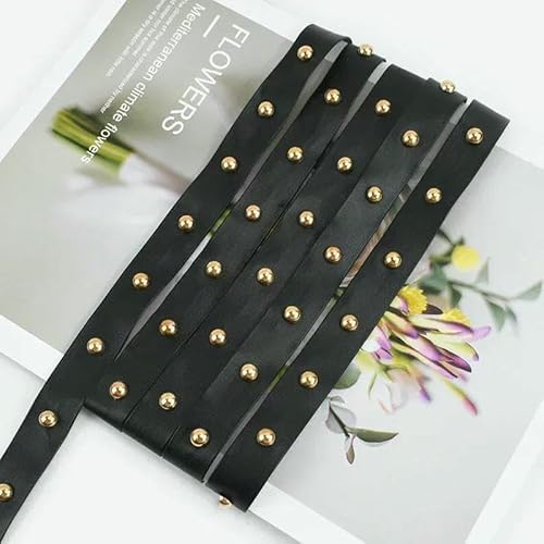 2/4/10 m, 10–20 mm, schwarze Nieten, PU-Lederband, Seile, Taschengurt, Armband, Kordel, Gürtel, dekoratives DIY-Nähzubehör, C-Gold, 2 cm, 2 Meter 2/4/10 m, 10–20 mm, schwarze Nieten, PU-Lederband, Seile, Taschengurt, Armband, Kordel, Gürtel, dekoratives DIY-Nähzubehör, C-Gold, 2 cm, 2 Meter von AYHTUD