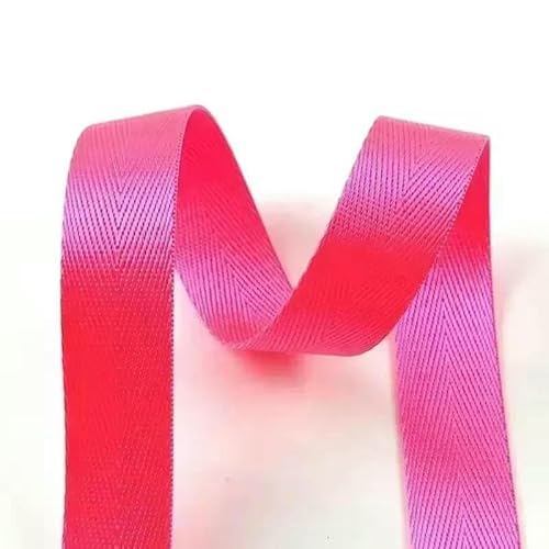 25 mm Nylon-Gurtbänder für Rucksäcke, Verpackungsband, Polyester-Haustierhalsband, DIY-Nähzubehör – fluoreszierendes Rosarot – 25 mm – 2 Meter von AYHTUD